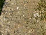 image of grave number 29377
